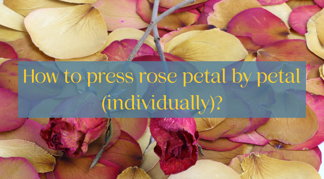 How to press rose petal by petal (individually)? by berstuk