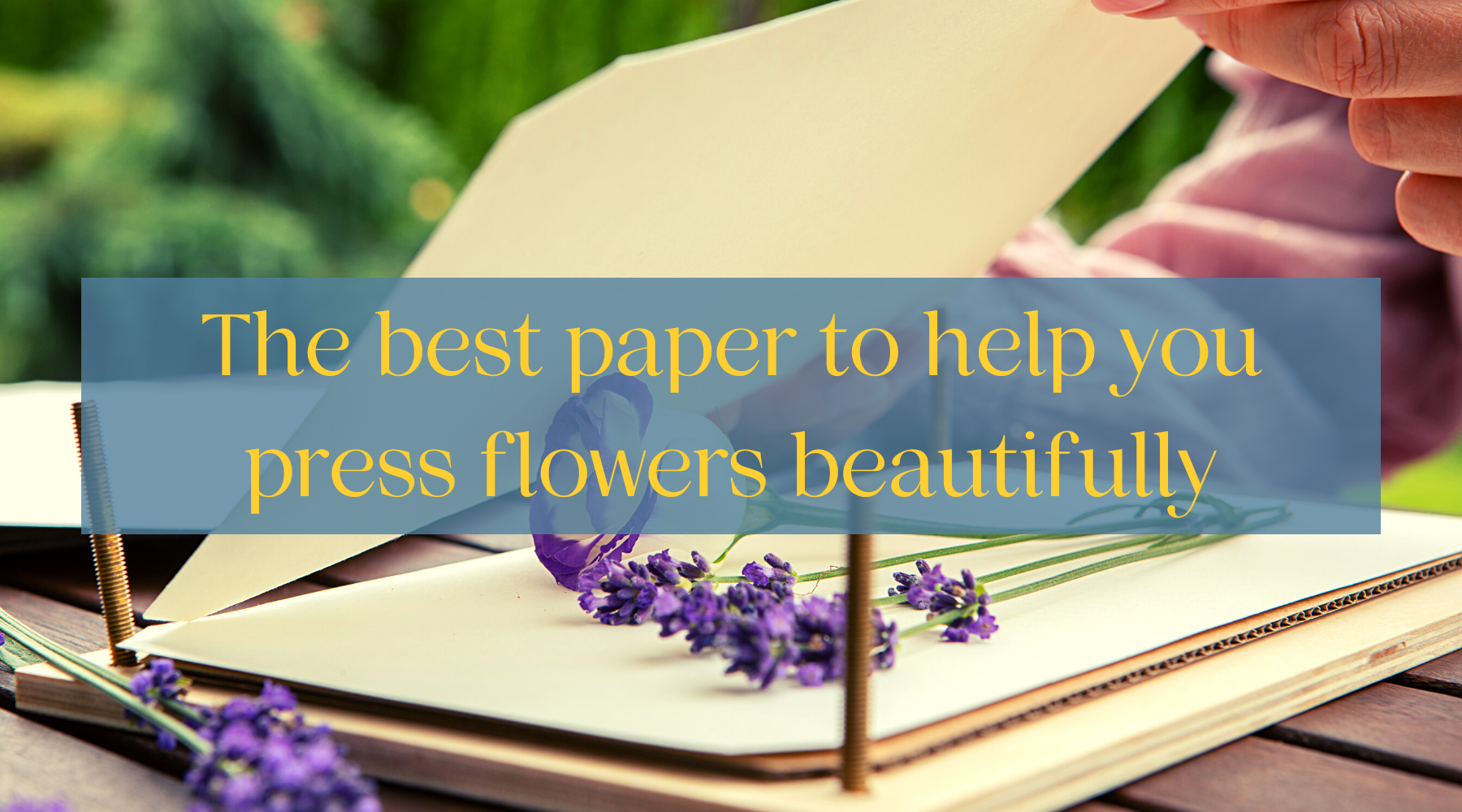 The best paper to help you press flowers - Berstuk Store