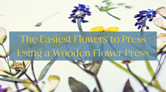 Easiest flowers to press using a wooden flower press - For Beginners! by berstuk