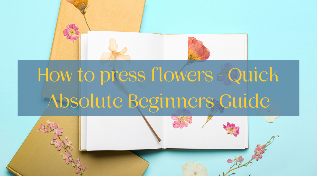 How to press flowers for preservation- Absolute Beginners Guide
