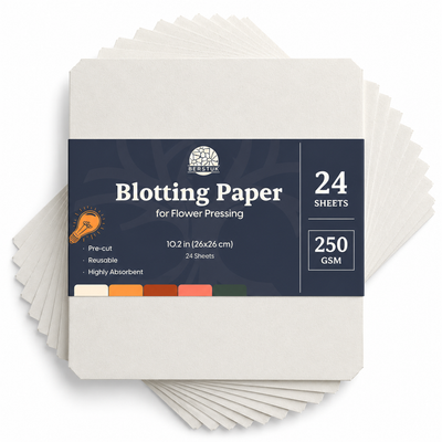 Square Blotting Paper Refill 10.2" x 10.2"