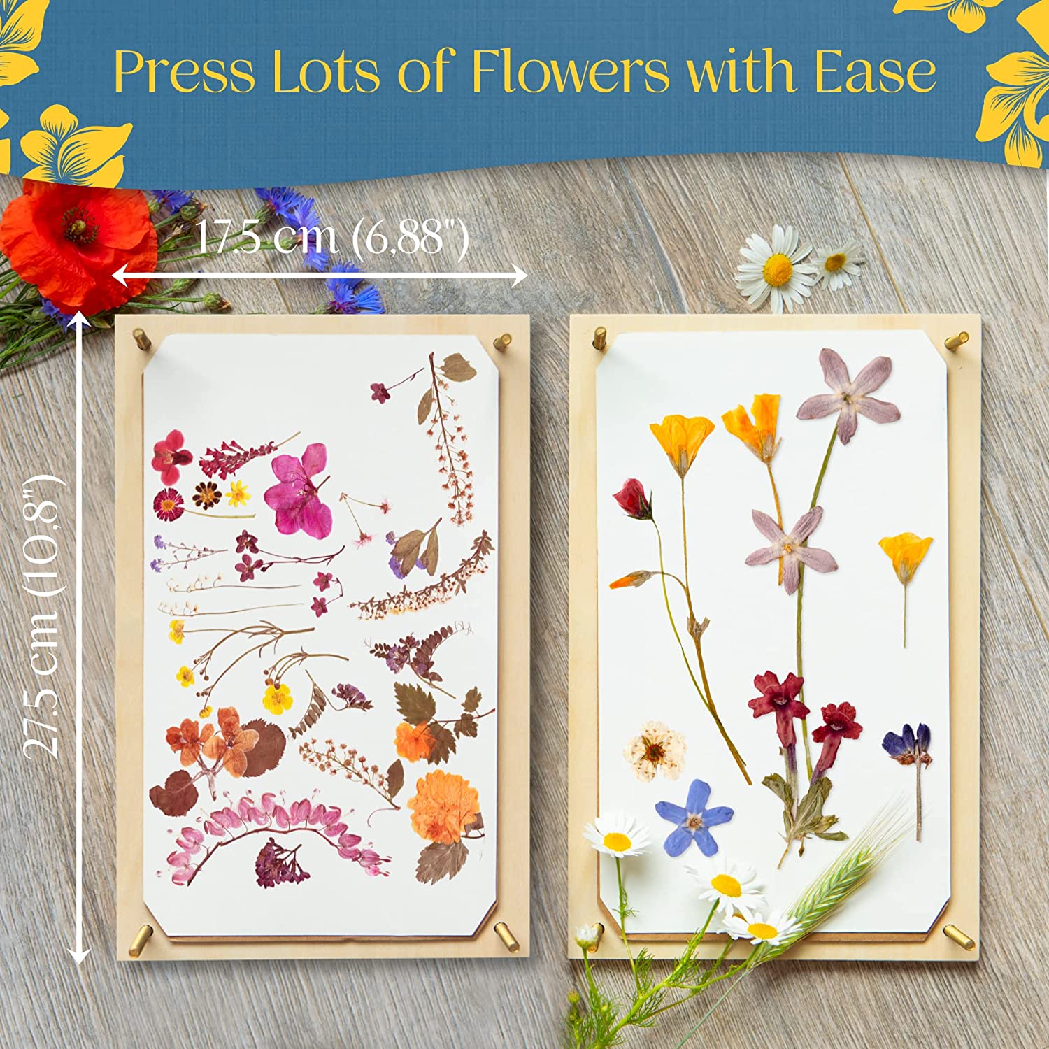 Small and sturdy Flower Pressing Kit