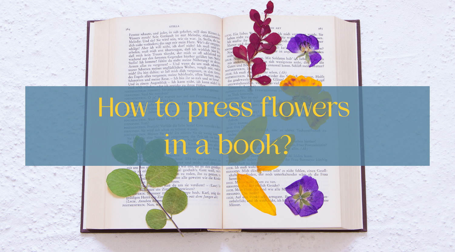 How to press flowers in a book? Berstuk Store