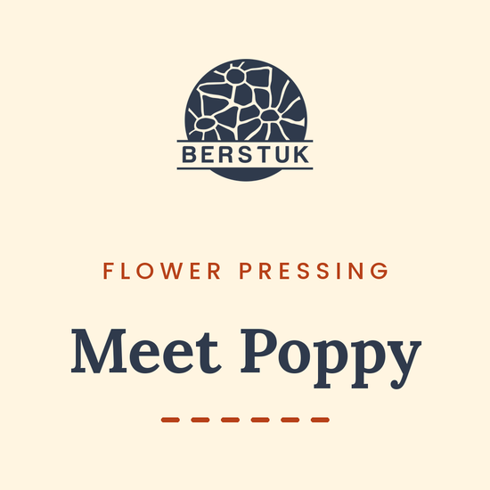 video showcasing the berstuk ravel flower press and artists using the press. putting the flowers inside the press. 
