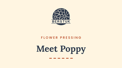 video showcasing the berstuk ravel flower press and artists using the press. putting the flowers inside the press. 