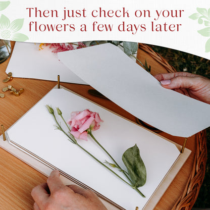 Pink flower placed on blotting paper in a wooden flower press 