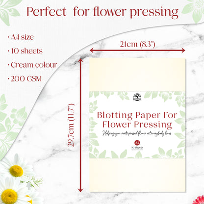 A4 flower press blotting paper package, 10 sheets, cream color, 200 GSM, dimensions 21 x 29.7 cm