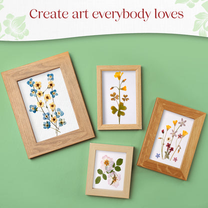 Four framed pressed flower art pieces in wooden frames, featuring various colorful blooms