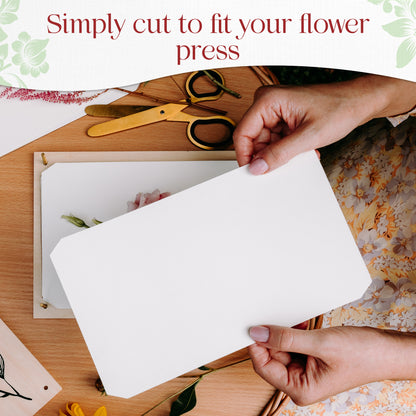 Hands placing cut blotting paper over flowers in a wooden flower press, with scissors nearby