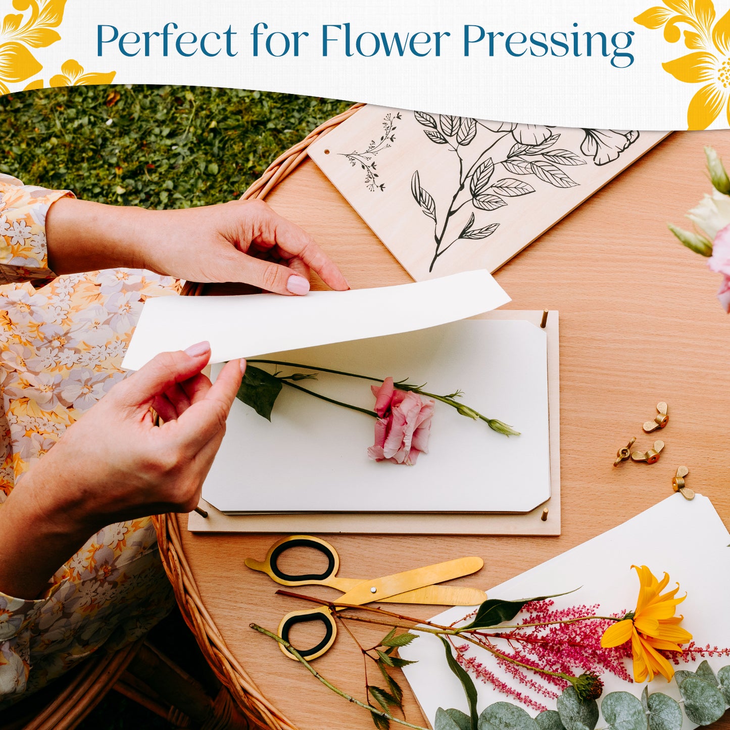 Blotter Paper Refill Pack for Flower Pressing – Berstuk Store