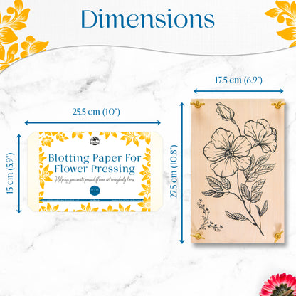 Dimensions of blotting paper package (25.5 x 15 cm) and wooden flower press (17.5 x 27.5 cm)