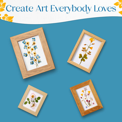 Four framed pressed flower art pieces in wooden frames, featuring various colorful blooms